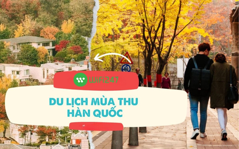 Du lịch Hàn Quốc Tháng 10